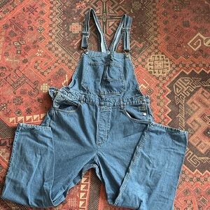We the Free Blue Denim Ziggy Overalls